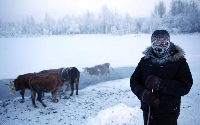 Где сейчас настоящая зима (21 фото)