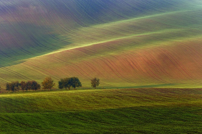 Лучшее с АdMe Photo Awards 2014 за неделю (31 фото)