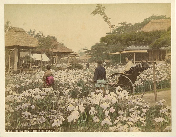 Япония в цвете (30 фото)