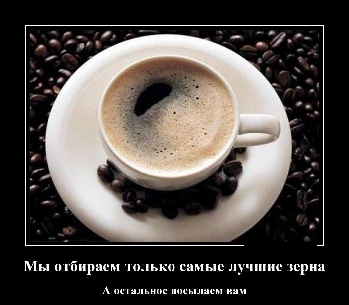 Демотиваторы 06.01.2015 (30 фото)