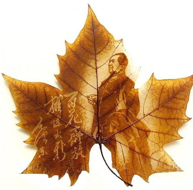 Рисунки на листьях клёна (19 фото)