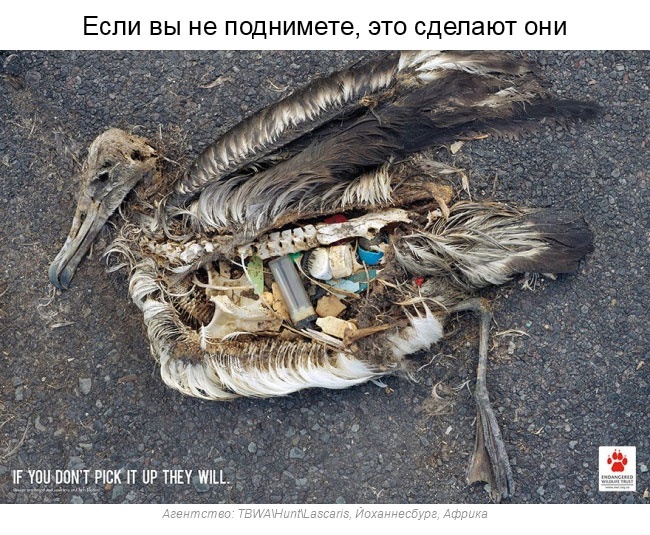 Сильная социальная реклама, собранная со всего мира (37 фото)