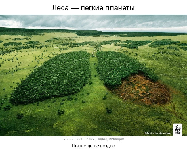 Сильная социальная реклама, собранная со всего мира (37 фото)