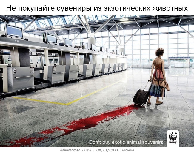 Сильная социальная реклама, собранная со всего мира (37 фото)