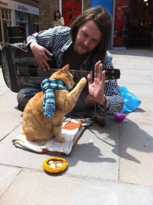 Уличный кот, который воспитал себе хозяина и прославился на весь мир (10 фото)