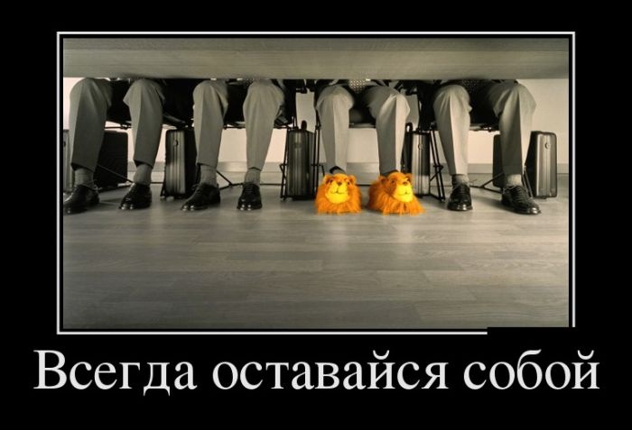 Демотиваторы 15.01.2015 (25 фото)