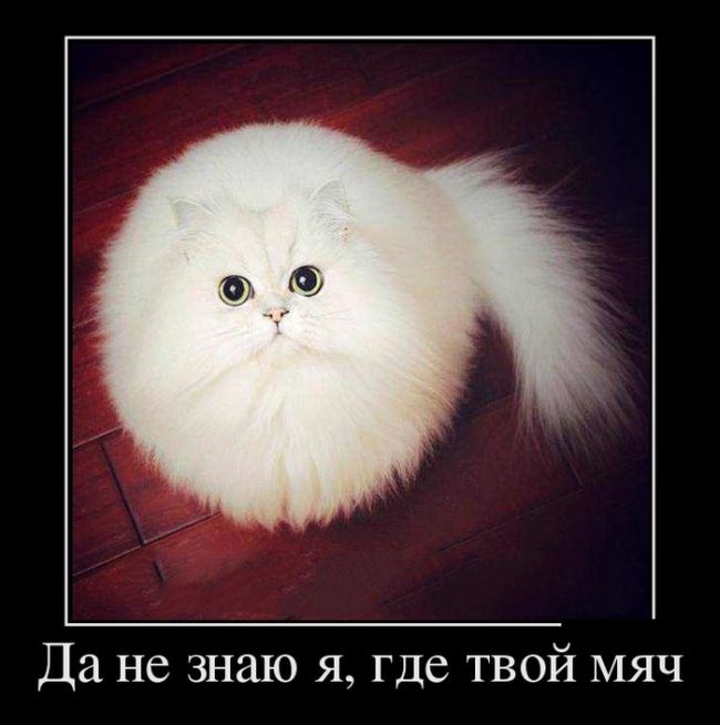 Демотиваторы 15.01.2015 (25 фото)