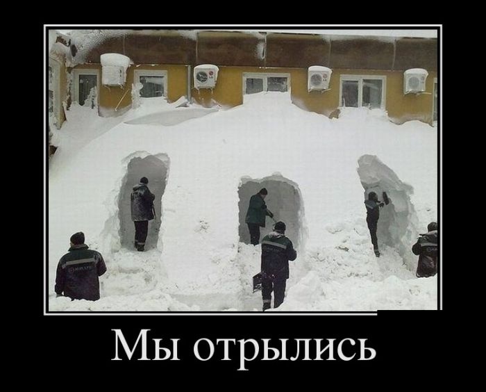 Демотиваторы 15.01.2015 (25 фото)