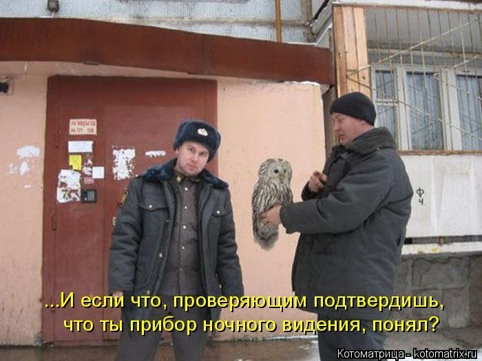 Лучшие котоматрицы недели 16.01.2015 (49 фото)