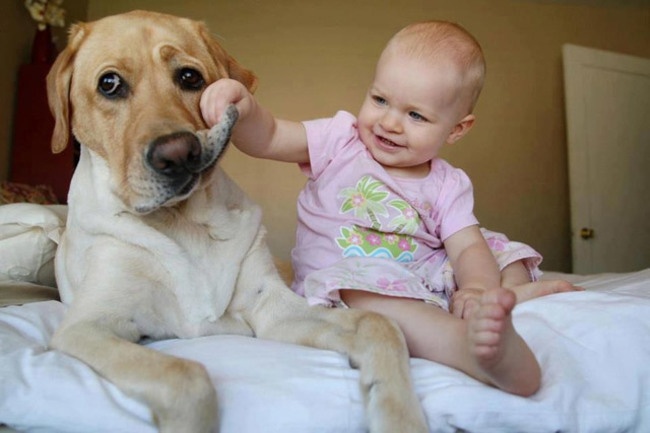 Почему каждый ребенок должен расти с собакой (12 фото)