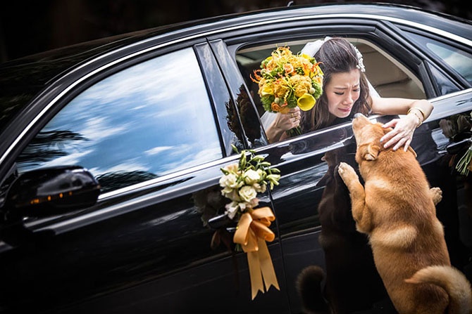 Победители международного конкурса профессиональных свадебных фотографий 2014 (26 фото)