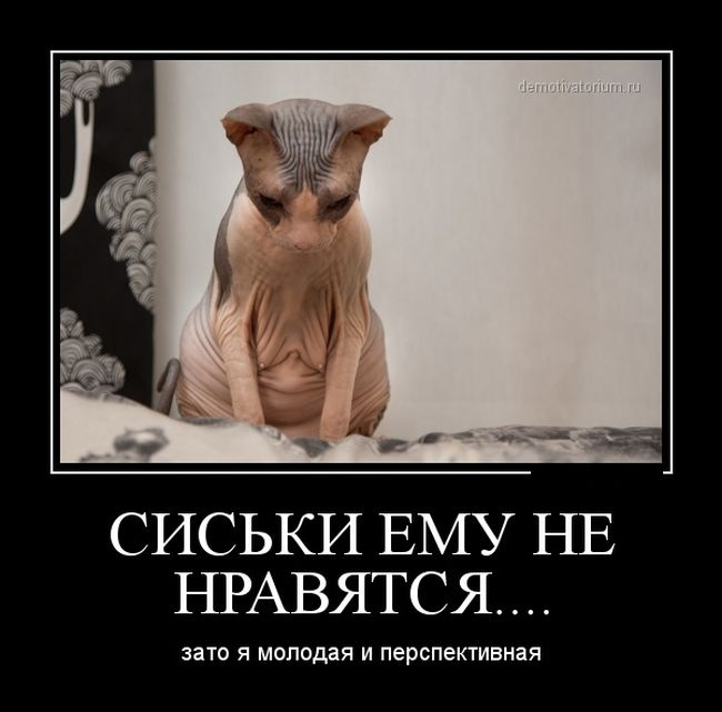Прикольные демотиваторы 21.01.2015 (30 картинок)