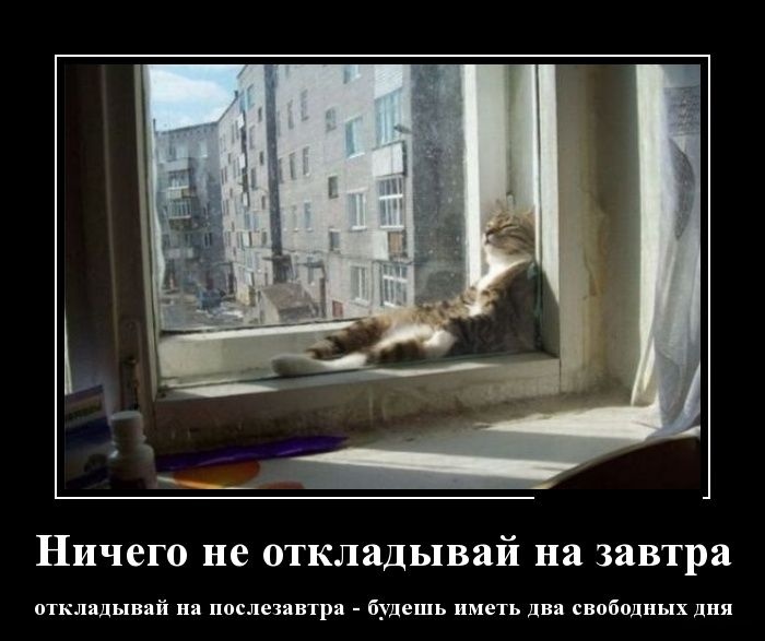 Прикольные демотиваторы 21.01.2015 (30 картинок)