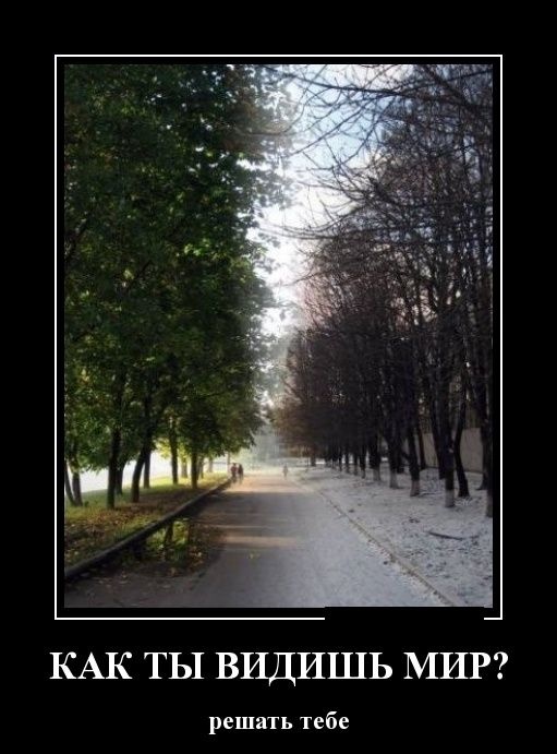 Прикольные демотиваторы 21.01.2015 (30 картинок)