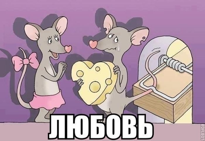 Классные картинки 22.01.2015 (92 картинки)