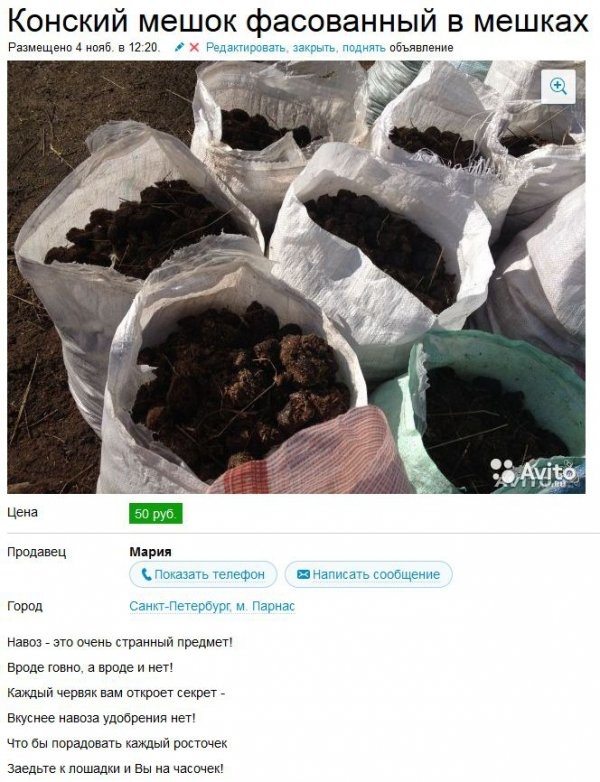 Прикольные объявления на Авито