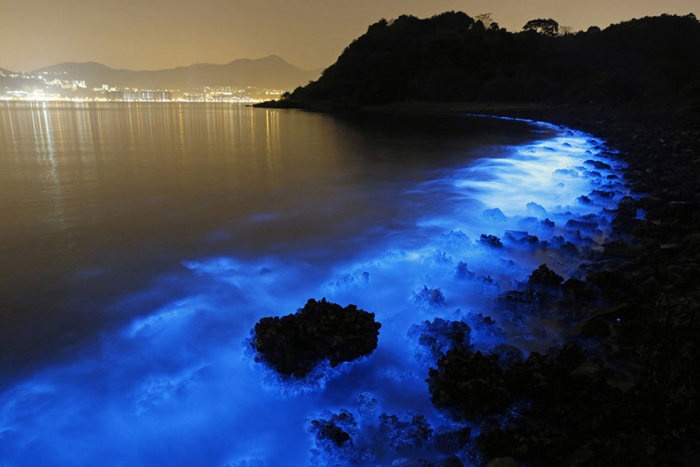 Редкое природное явление в Южно-Китайском море (4 фото)