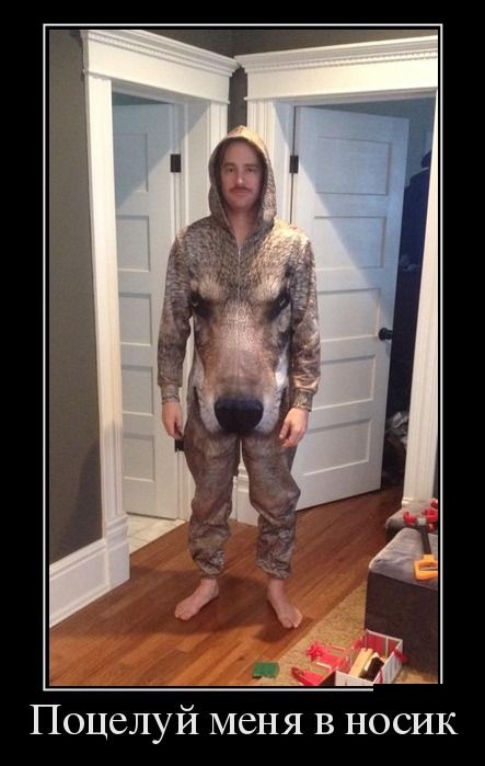 Демотиваторы 30.01.2015 (30 картинок)