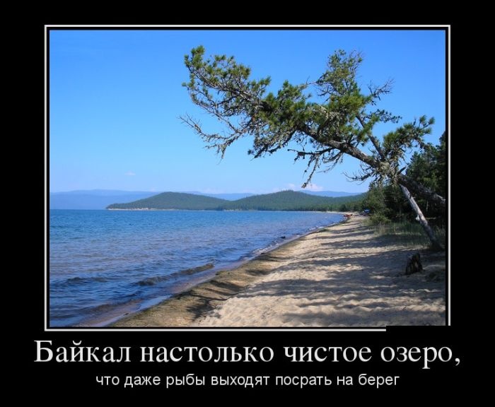 Демотиваторы 30.01.2015 (30 картинок)