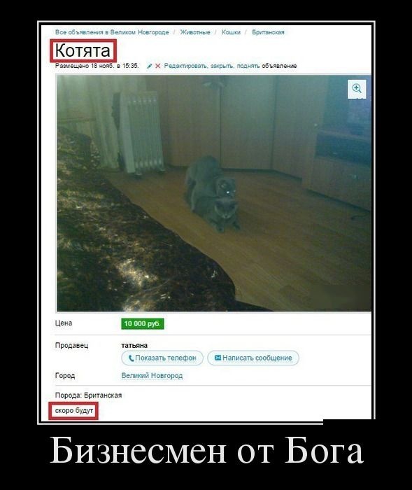 Демотиваторы 30.01.2015 (30 картинок)