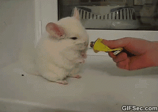 Подборка гифок 30.01.2015 (25 гифок)