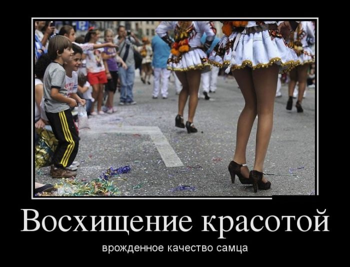 Демотиваторы 30.01.2015 (30 картинок)