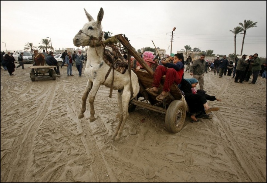 Искусство перевозить грузы