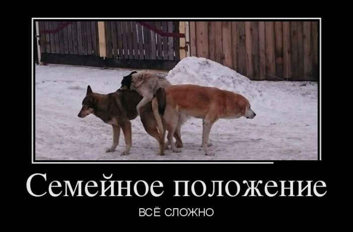 Подборка демотиваторов 02.02.2015 (30 картинок)