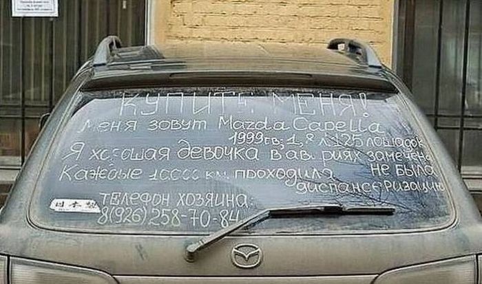 Прикольные надписи на авто (28 фото)