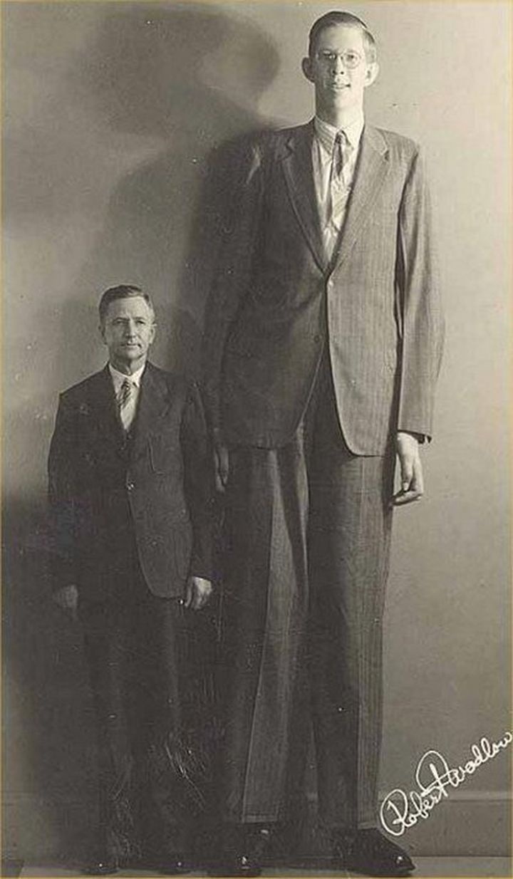 Фотографии и видео самого высокого человека в мире