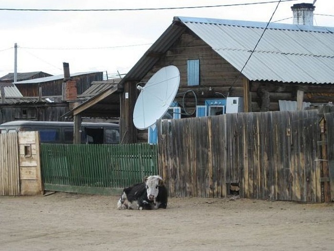 Подборка "тем временем в России" (30 фото и 2 гифки)