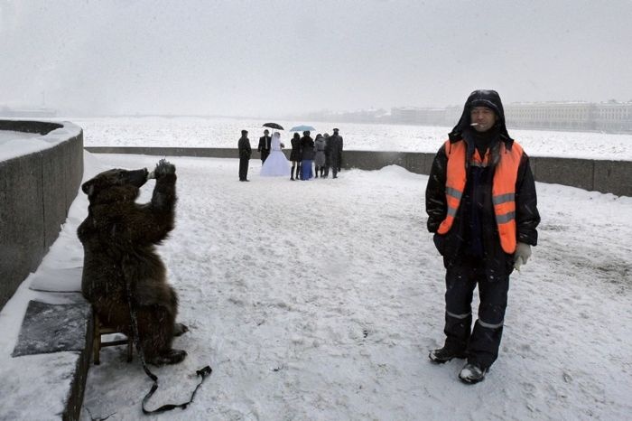 Подборка "тем временем в России" (30 фото и 2 гифки)