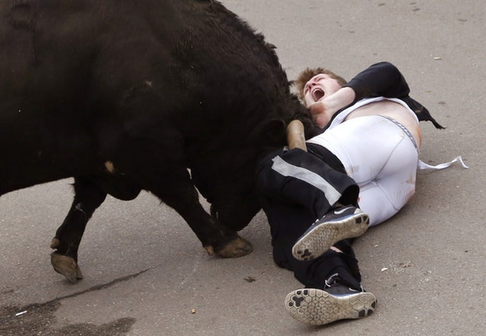 Последствия неудачного забега с быками (5 фото)