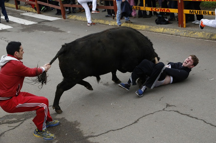 Последствия неудачного забега с быками (5 фото)