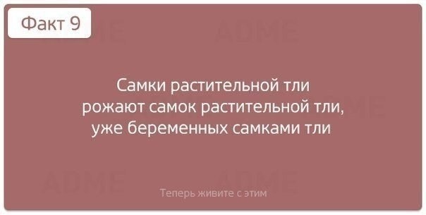 10 интересных фактов