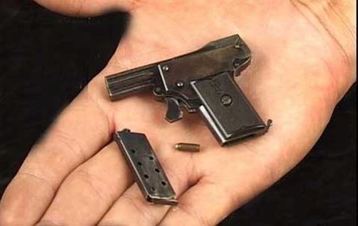 Самый миниатюрный пистолет в мире (7 фото)