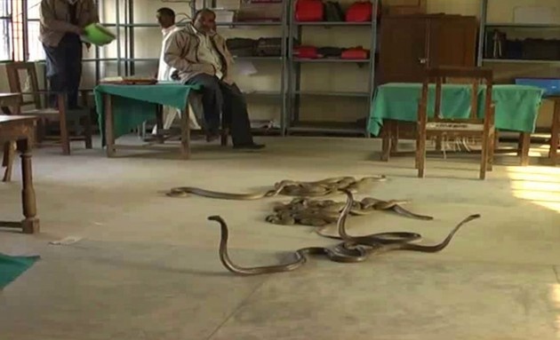 Фото обычных индийских офисов