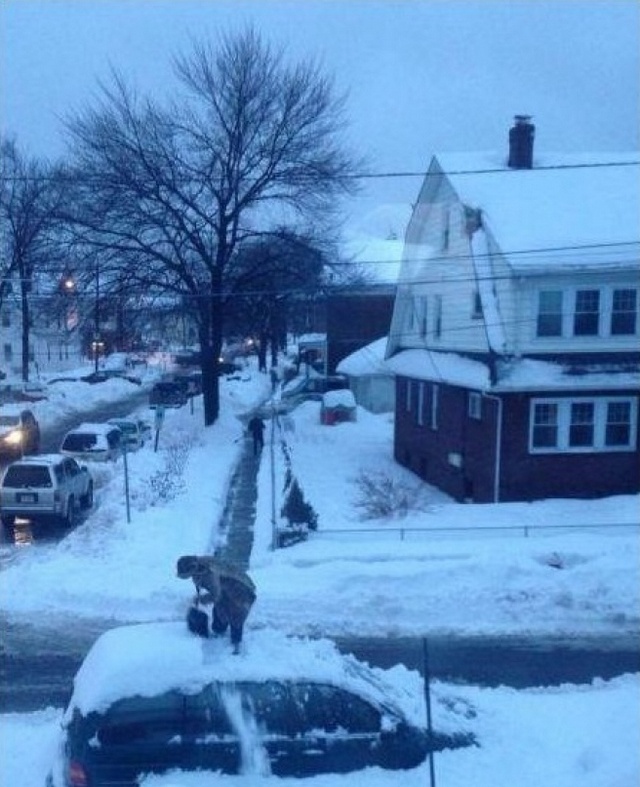 Небольшая подборка фейлов (21 фото)