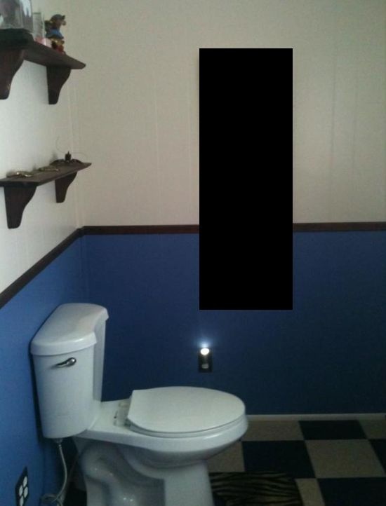 Неплохая идея для туалета
