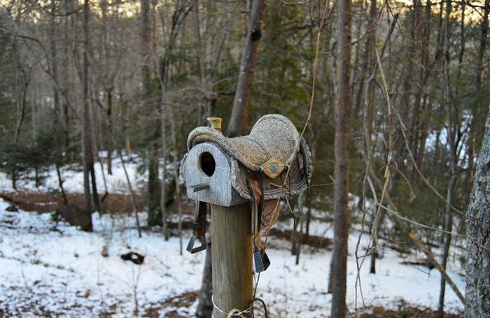 Подборка прикольных картинок 09.03.2015 (105 фото)