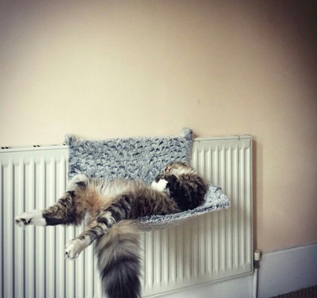 Подборка прикольных картинок 09.03.2015 (105 фото)