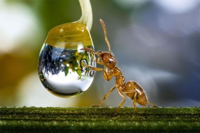 Подборка прикольных картинок 09.03.2015 (105 фото)