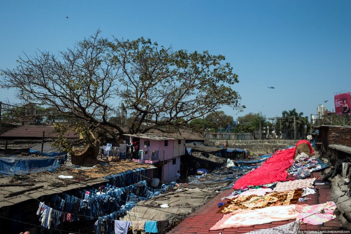 Индийские трущобы, в которых живут прачки (26 фото)
