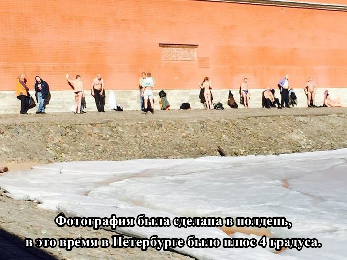 Подборка прикольных картинок 13.03.2015 (95 фото)