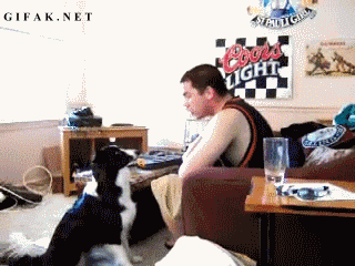Подборка интересных гифок с любителями пива (16 гифок)