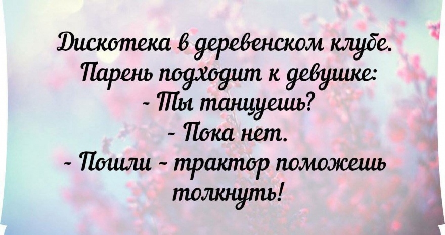 Подборка забавных открыток (41 картинка)