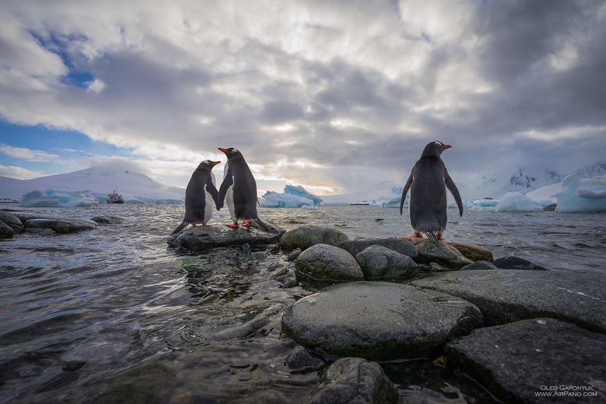 14 классных фото Антарктиды