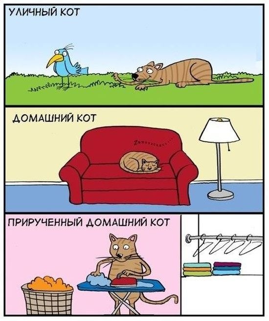 Забавные комиксы 20.03.2015 (20 картинок)