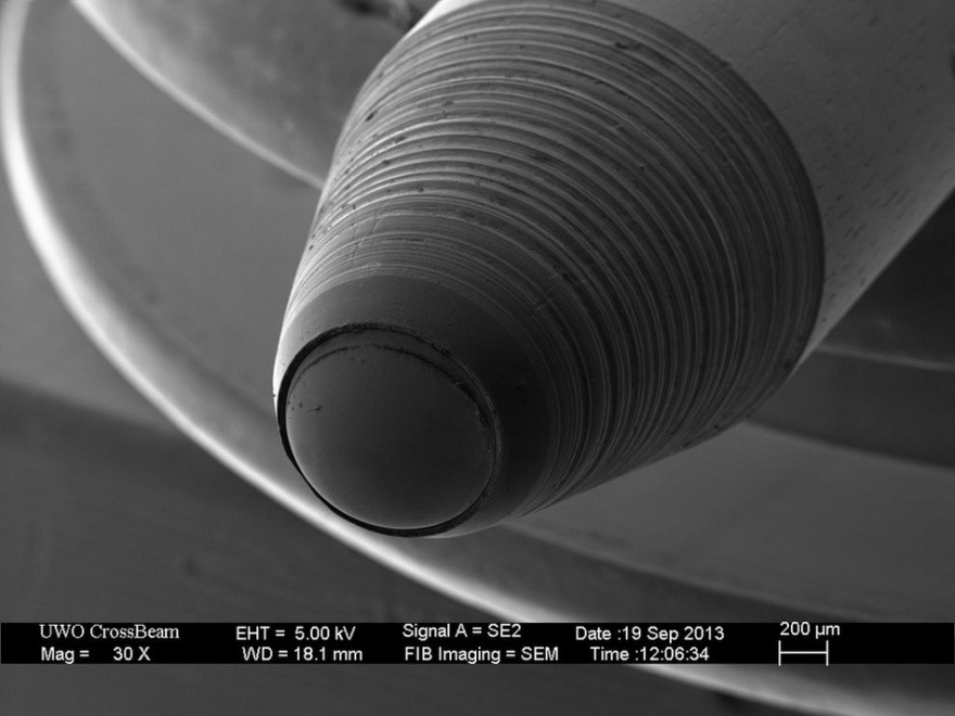 Привычные вещи под микроскопом (16 фото)