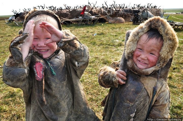 Фотографии из повседневной жизни народности ханты полуострова Ямал (32 фото)